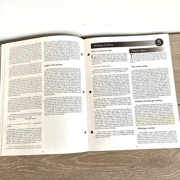 PASSING THE FLAME - VOL 4 -Spotlight on Marketing Lampwork Beads on the Internet - Picture 2 of 5